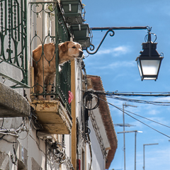 Alentejo