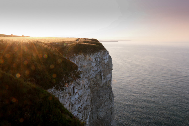 Bempton Cliffs