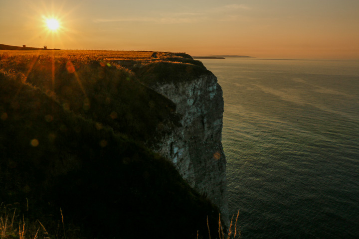 Bempton Cliffs