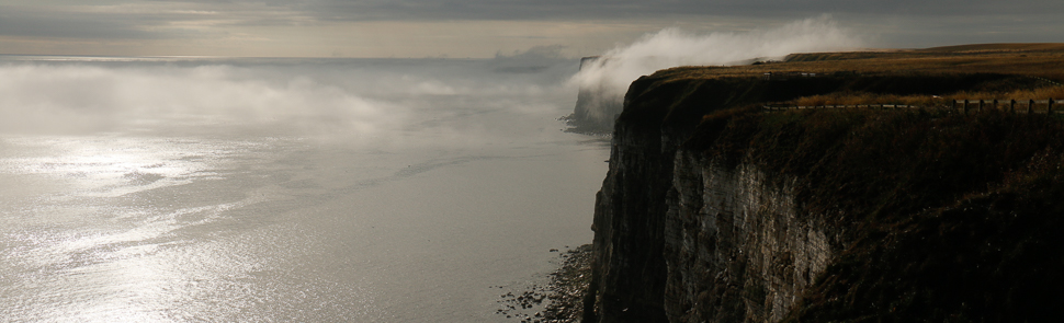 Bempton Cliffs