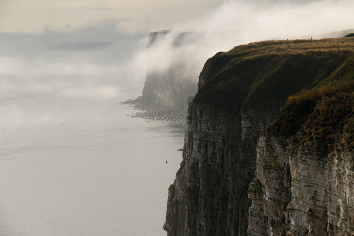 Bempton Cliffs