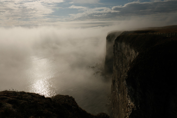 Bempton Cliffs