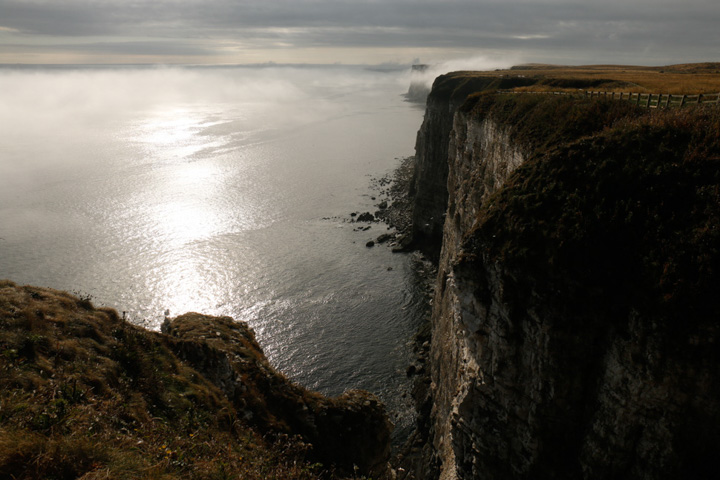 Bempton Cliffs