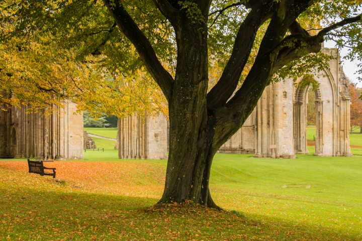 Glastonbury Abbey, England