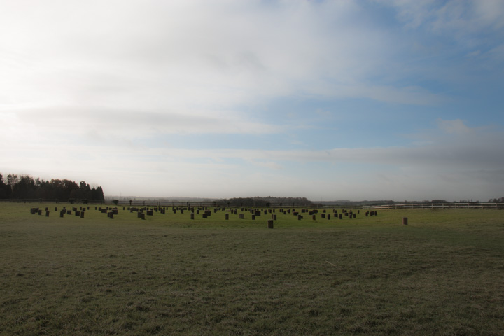 Woodhenge, England