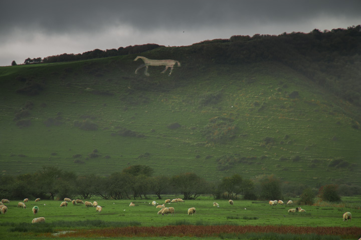 Scharrbild Pferd, England