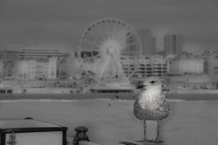 Brighton Pier, England