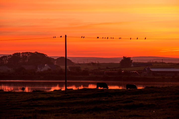 Sonnenuntergang Killala, Irland