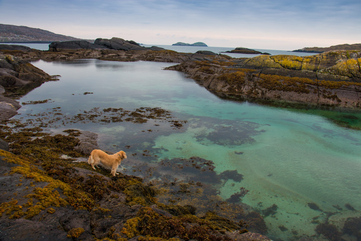 Caherdaniel Beach, Irland