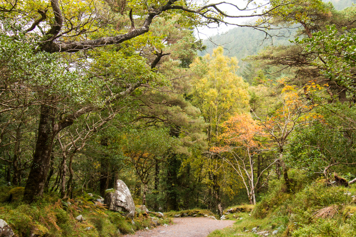 Killarney National Park, Irland