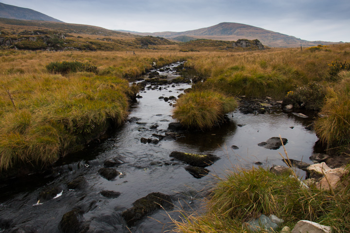 Tork River, Irland