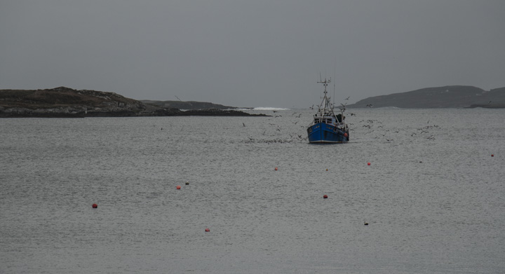 Fischerboot, Irland