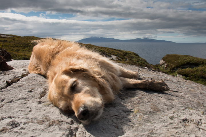 Sheeba - Isle of Skye