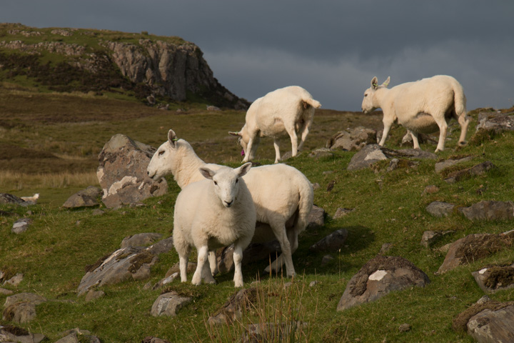 Isle of Skye