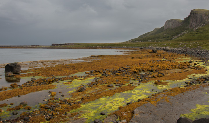 bei Staffin, Isle of Skye