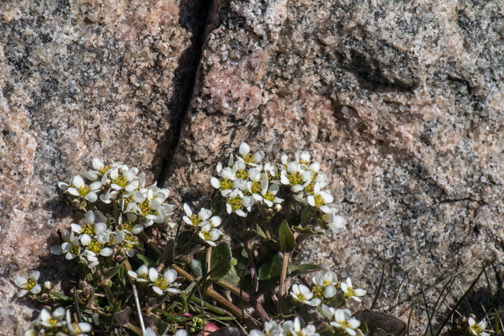 , Norwegen