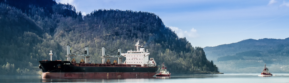 Schiff im Saudafjord, Norwegen