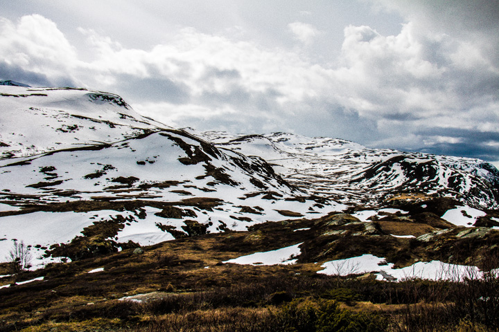 Sognefjell, Norwegen