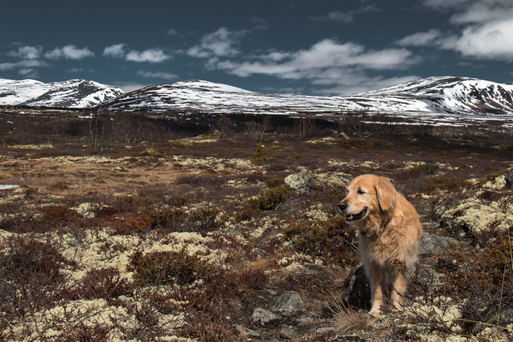 , Norwegen