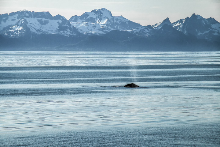 , Norwegen