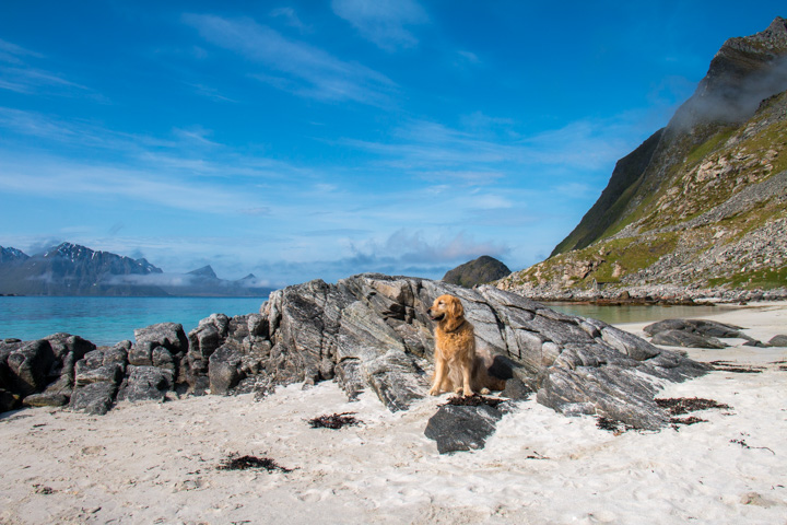 Haukland Lofoten, Norwegen