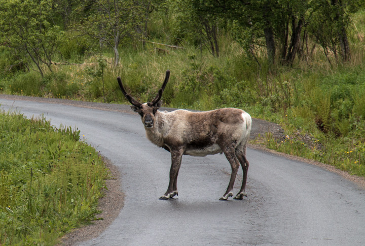 , Norwegen