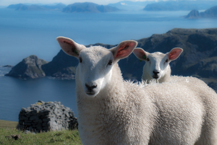 , Norwegen