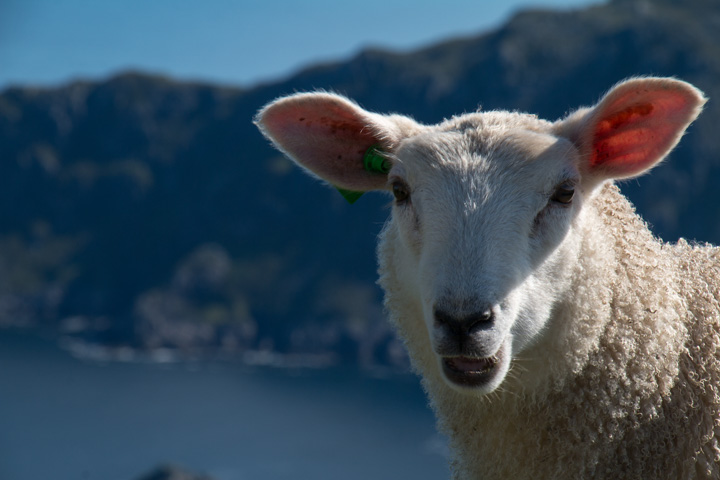 , Norwegen