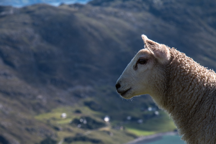 , Norwegen