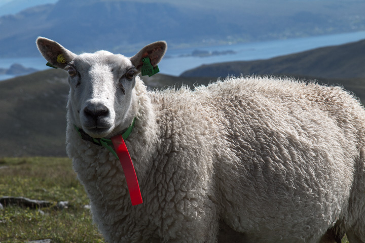 , Norwegen