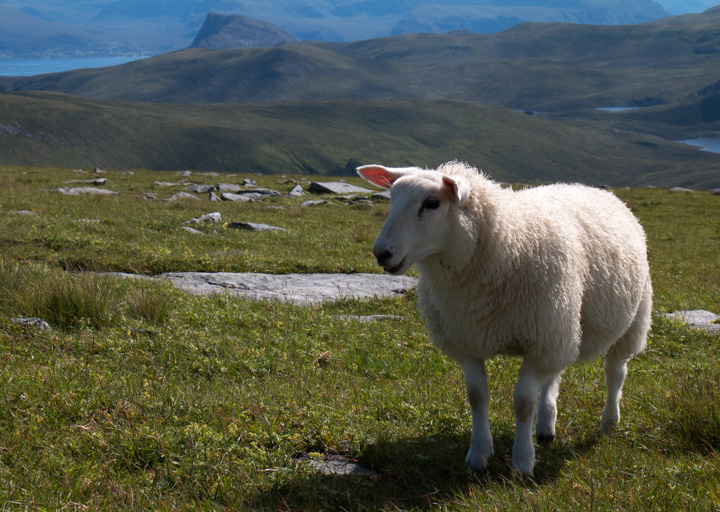 , Norwegen