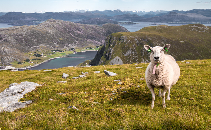 , Norwegen