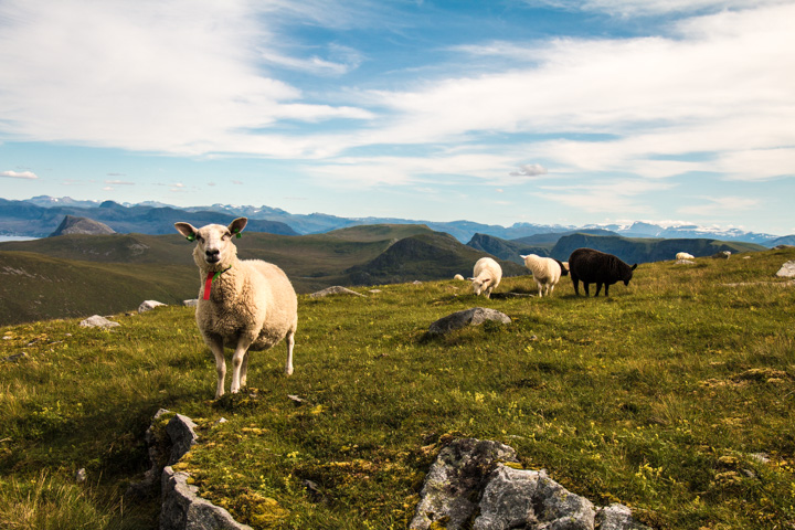 , Norwegen