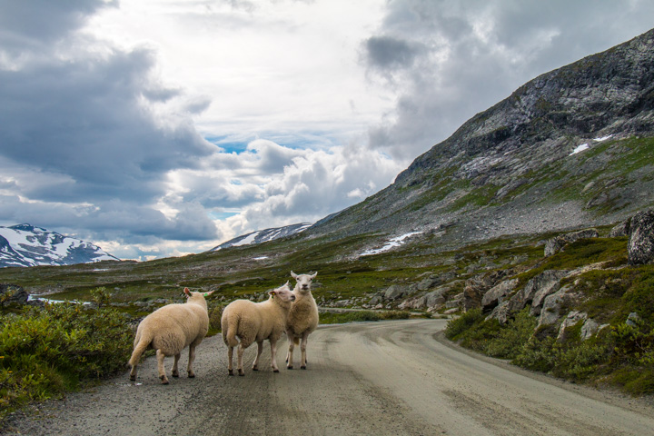 , Norwegen