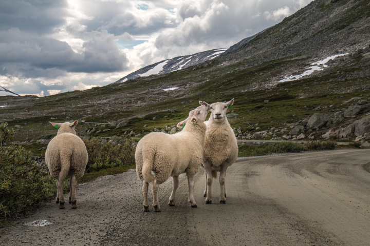 , Norwegen