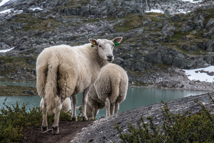 , Norwegen