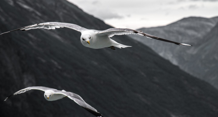 , Norwegen