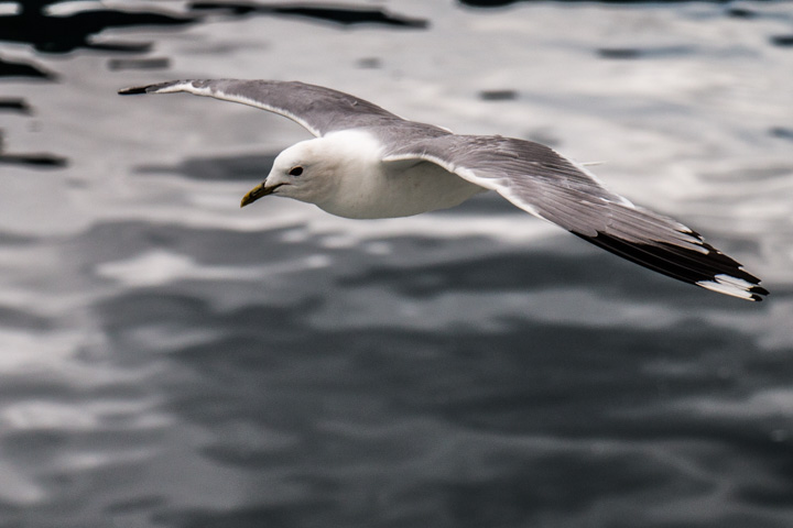 , Norwegen