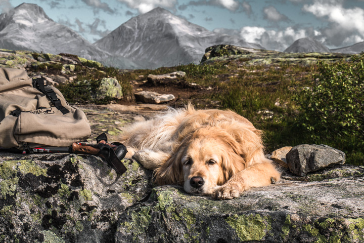 , Norwegen