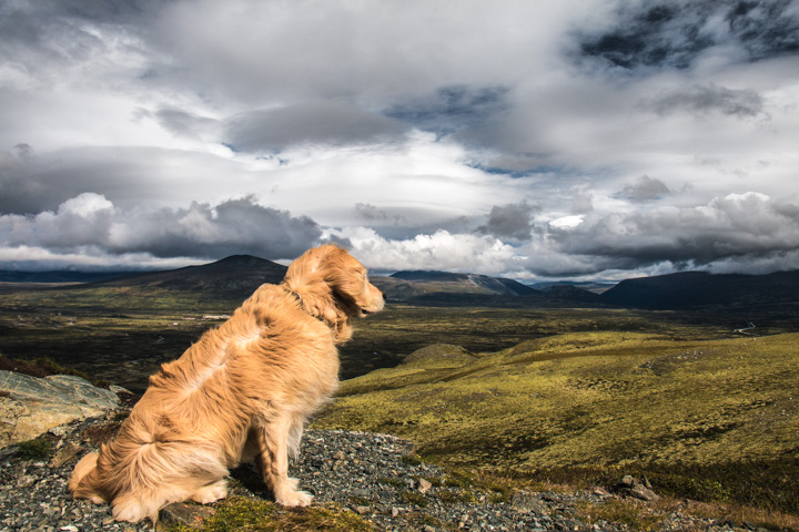 , Norwegen