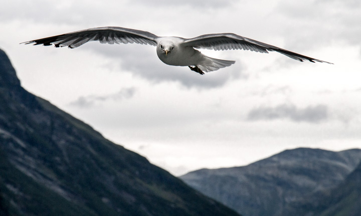 , Norwegen