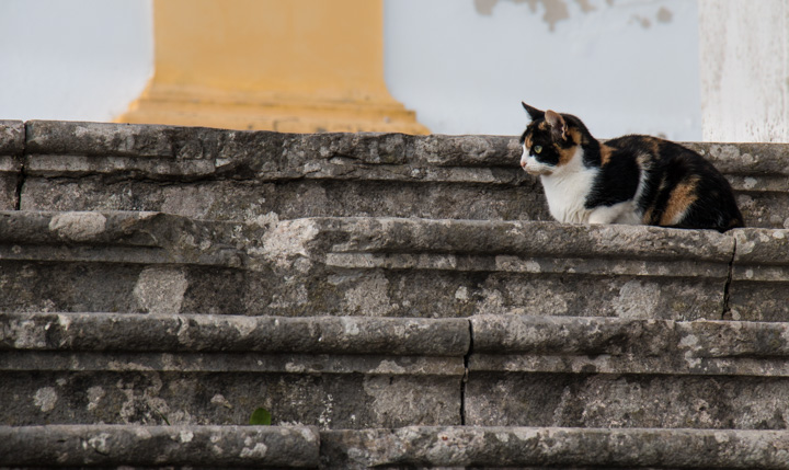 Portugal