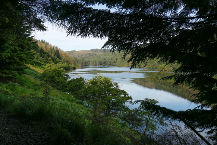 Loch Trool