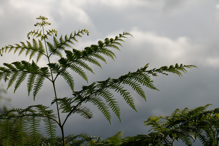 Wolken über Loch trool