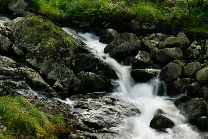 Wildbach