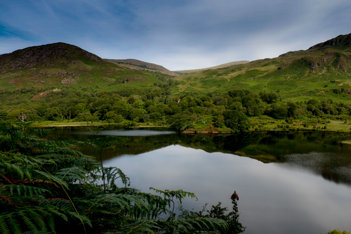 Loch Trool