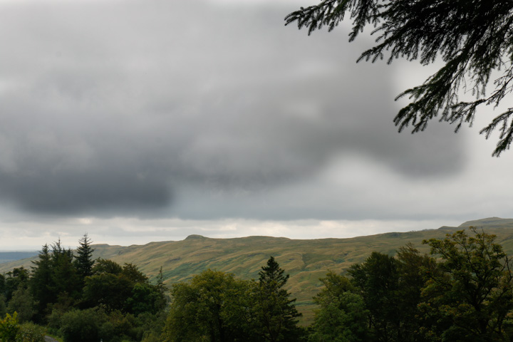 Moorlandschaft