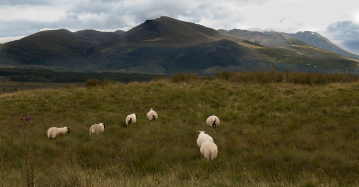 Ben Nevis