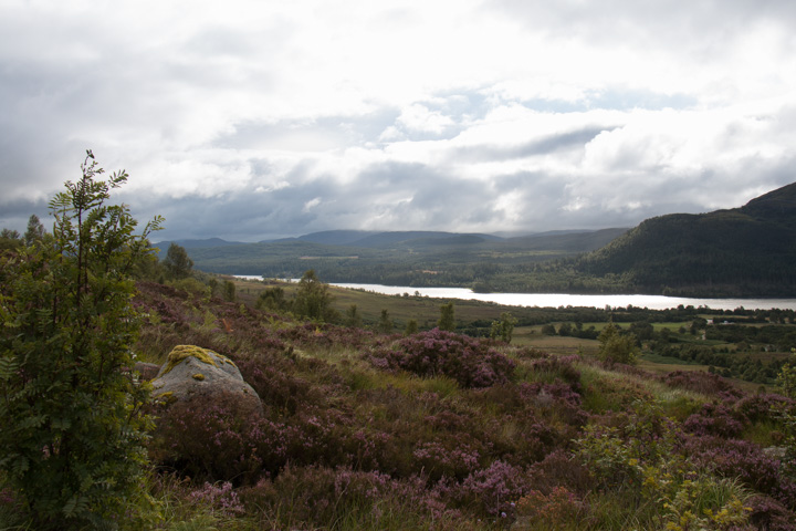 Loch Laggan