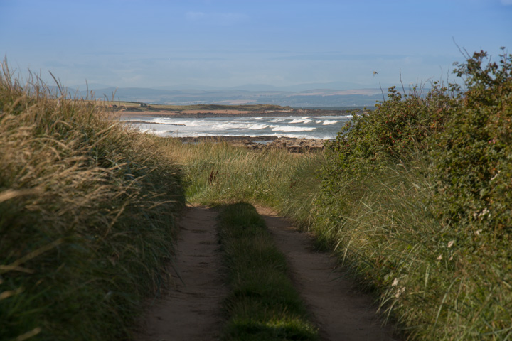 Meer